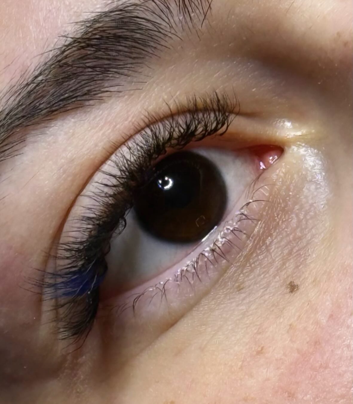 Eyelashes extensions 2D light volume ano liosia antonopoulou theofani